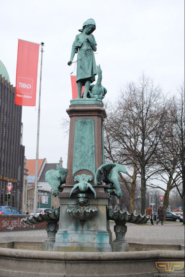 ���� ���������