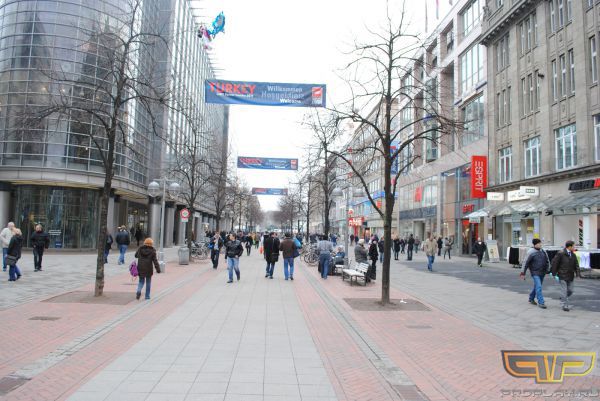 ���� ���������