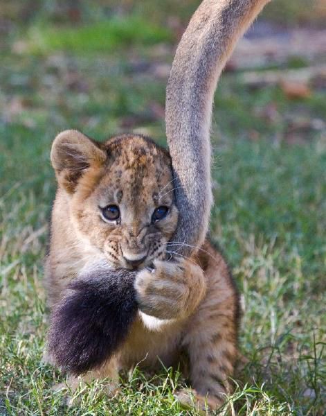 [�� �������]