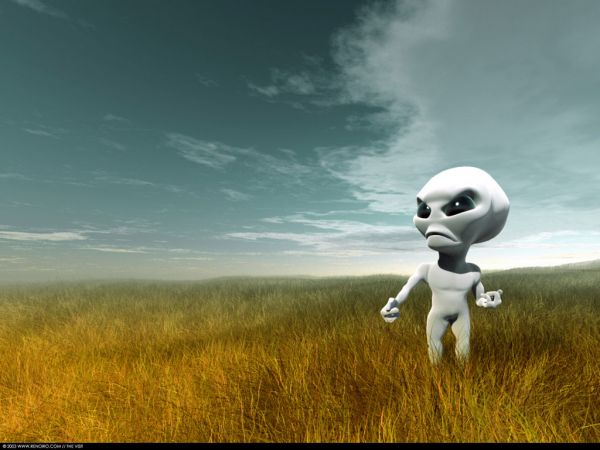 ���� ����� �� �����