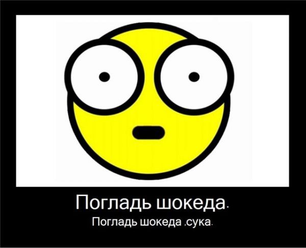 Погладь Шокеда Погладь Шокеда